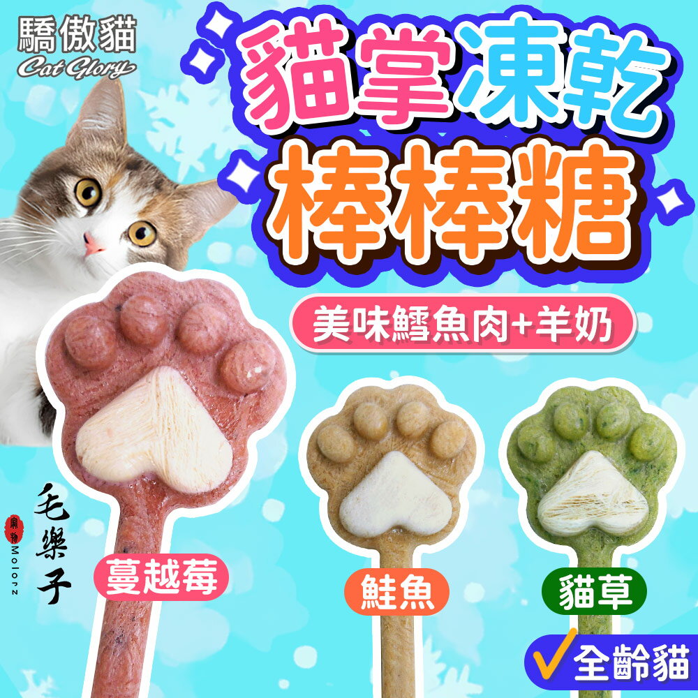 【驕傲貓】凍乾 貓點心 貓棒棒糖 貓掌凍乾棒棒糖 全齡貓 貓零食 3g 貓餅乾 寵物棒棒糖