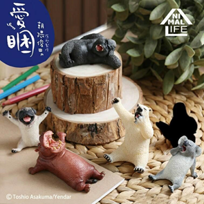 Toy Friend 玩具animal Life第二彈朝隈俊男愛睏動物北極熊無尾熊巴哥河馬完整一中盒8入公仔 玩具 扭蛋 Rakuten樂天市場 Toy Friend 玩具animal Life第二彈朝隈俊男愛睏動物北極熊無尾熊巴哥河馬完整一中盒8入公仔 玩具 扭蛋 Rakuten樂天市場