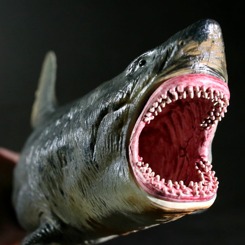 新款仿真空心大號巨齒鯊錘頭虎大白鯊魚兒童海洋動物生物玩具模型