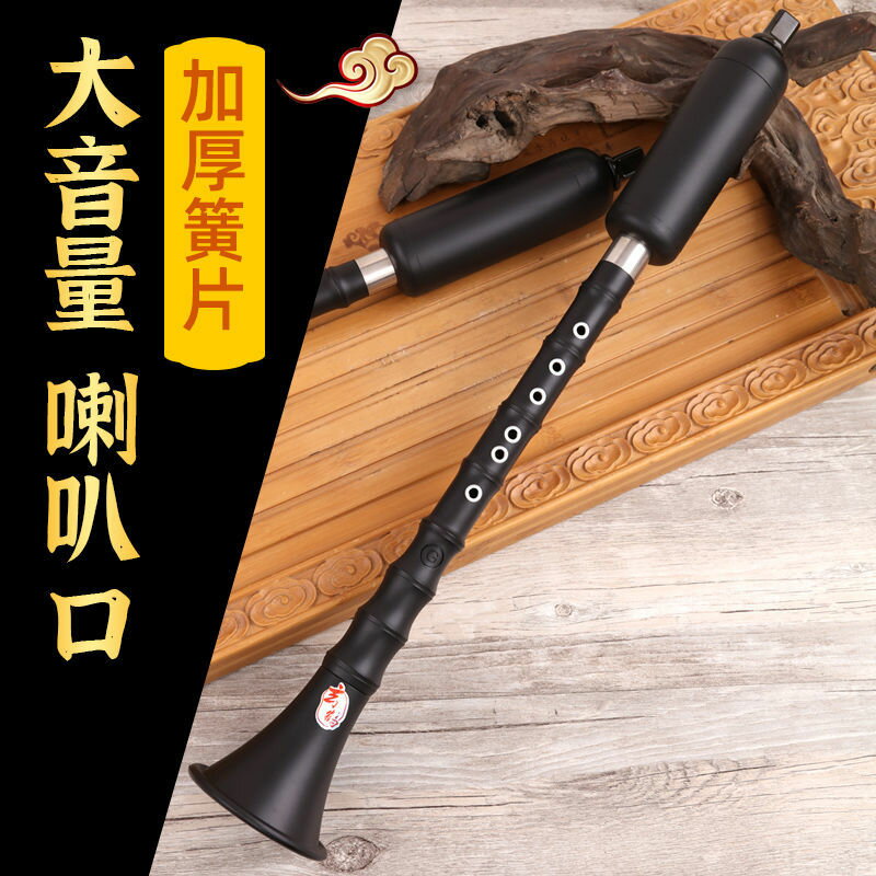 巴烏樂器豎吹成人專業演奏小學生初學入門大音量G/F調 單管樂器