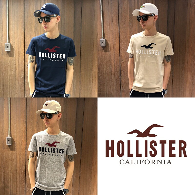 美國百分百【全新真品】Hollister Co. T恤 HCO 短袖 T-shirt 海鷗 logo 多色 AH55