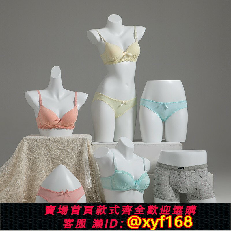 {保固一年 可打統編}內衣模特道具女半身文胸男士內褲展示架胸模服裝店假人體模型架子