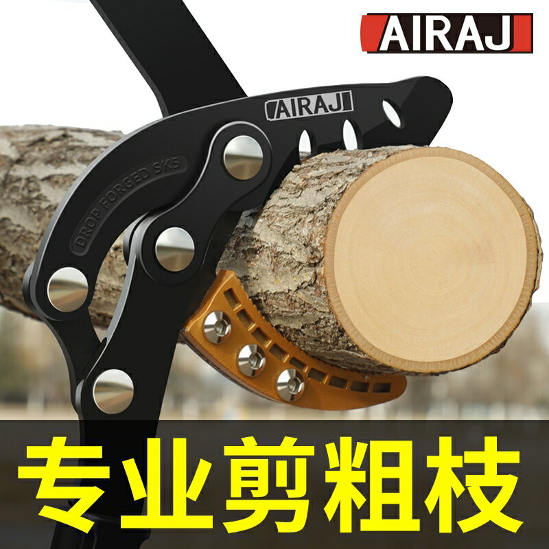 德國進口修枝剪廣探樹枝剪刀園林強力大力剪粗枝剪園藝果樹伸縮
