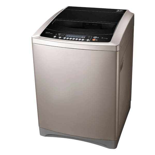 TECO東元-W1601XG 16KG變頻直立式洗衣機 【APP下單點數 加倍】