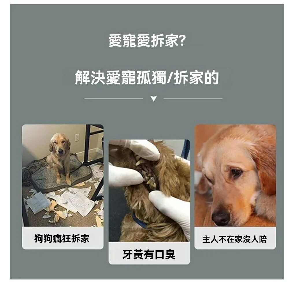 美麗大街 【114040821】兩入 寵物玩具球鏤空網球鈴鐺環保塑膠耐咬彈性橡膠球寵 物用品 3