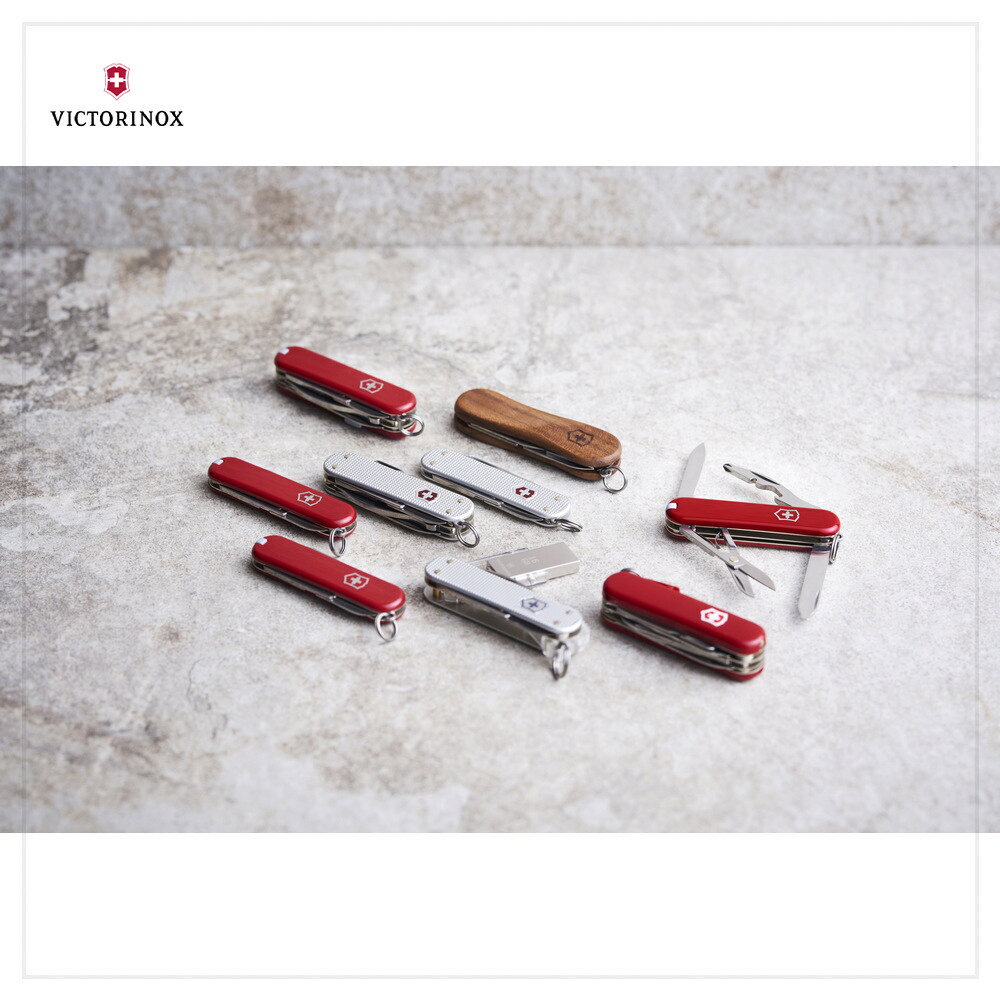VICTORINOX h hM cM(with ring) 3.9051 2