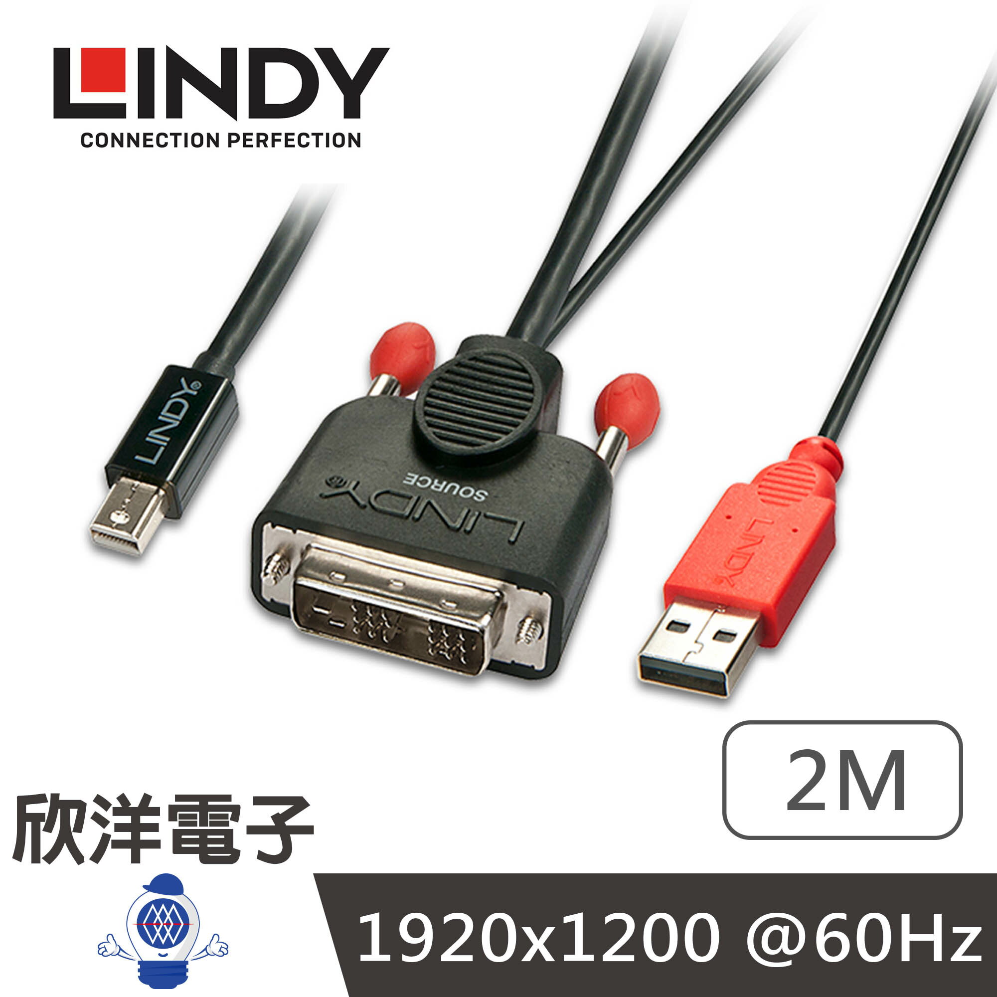 ※ 欣洋電子 ※ LINDY林帝 主動式 DVI-D to Mini DisplayPort 轉接線 2M (41997) DVI to Mini DP