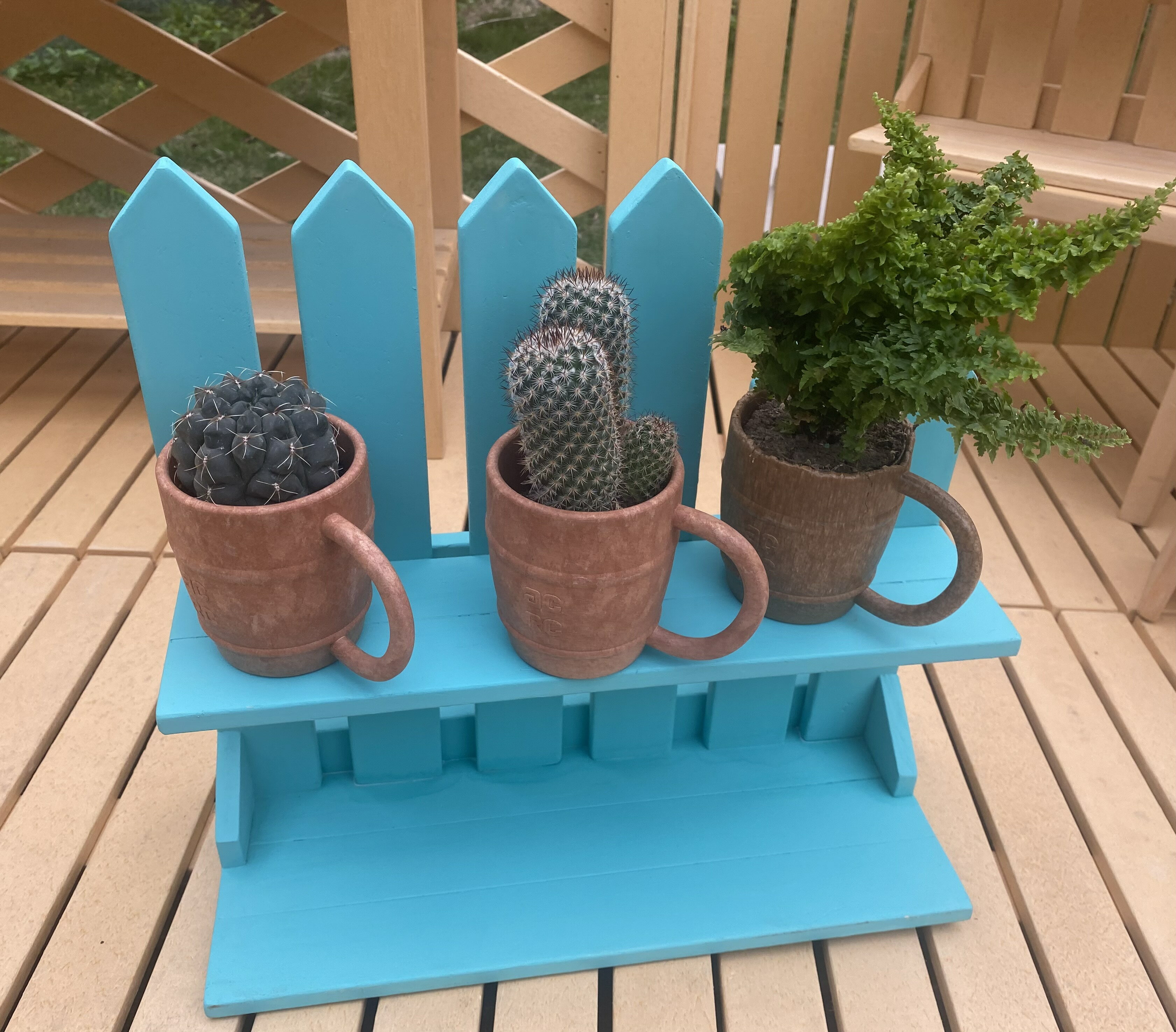 時代木防水家居 造型植栽杯種植多肉植物仙人掌 時代木防水家居直營店 樂天市場rakuten