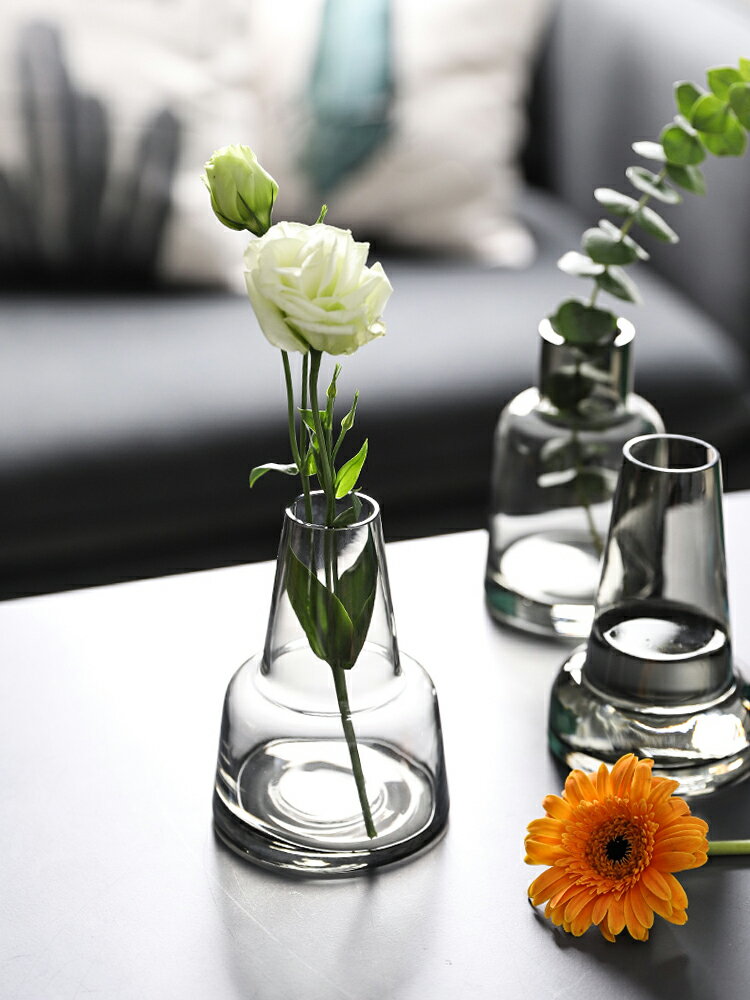 北歐風簡約玻璃花瓶插花器家居裝飾擺件干花瓶香薰瓶水培花瓶