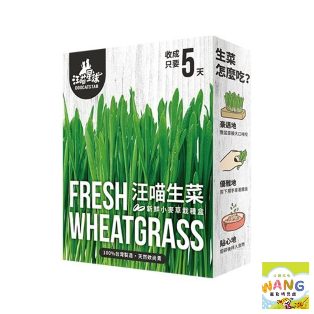 DogCatStar汪喵星球 貓草新鮮栽培盒65g 長超快 5天收成 貓草 貓零食『WANG』【9月限時★全館1500免運 領券再現抵!!】