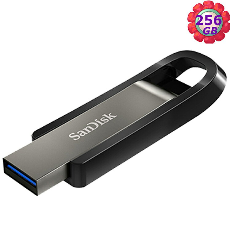 SanDisk 256GB 256G Extreme GO SDCZ810-256G 400MB/s SD CZ810 USB 3.2 隨身碟