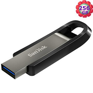 SanDisk 256GB 256G Extreme GO SDCZ810-256G 400MB/s SD CZ810 USB 3.2 隨身碟
