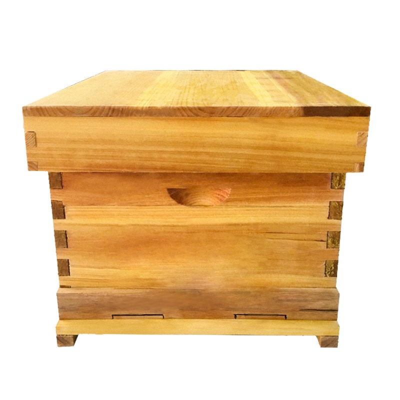 蜂箱中蜂標準十框土養蜜蜂箱七框活底蜂箱全套誘蜂箱杉木意蜂蜂箱