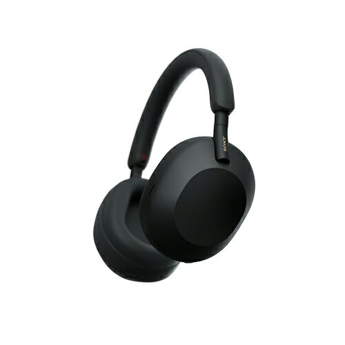 (領券再折)SONY 索尼 WH-1000XM5 真無線降噪耳罩耳機 台灣公司貨 4