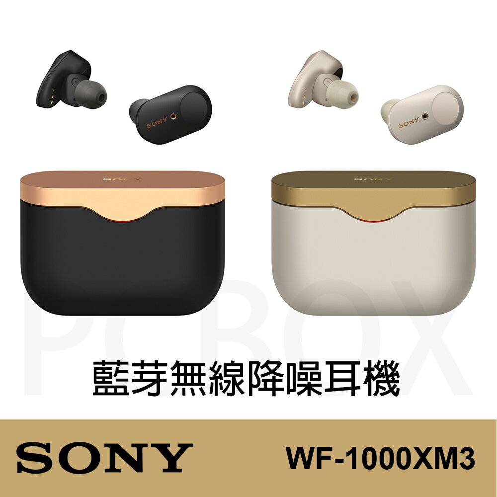 現貨★原廠保固★【Sony】台灣公司貨 WF-1000XM3 無線降噪耳機