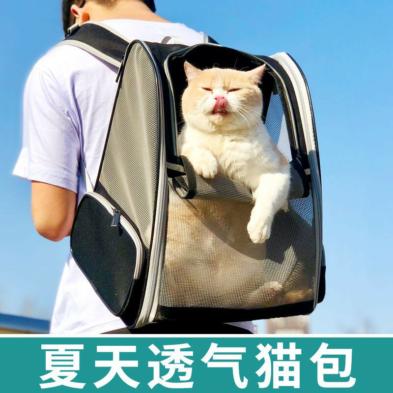 夏天透氣貓包外出便攜寵物包背貓咪狗狗雙肩揹包攜帶狗狗書包狗包貓袋 小山好物