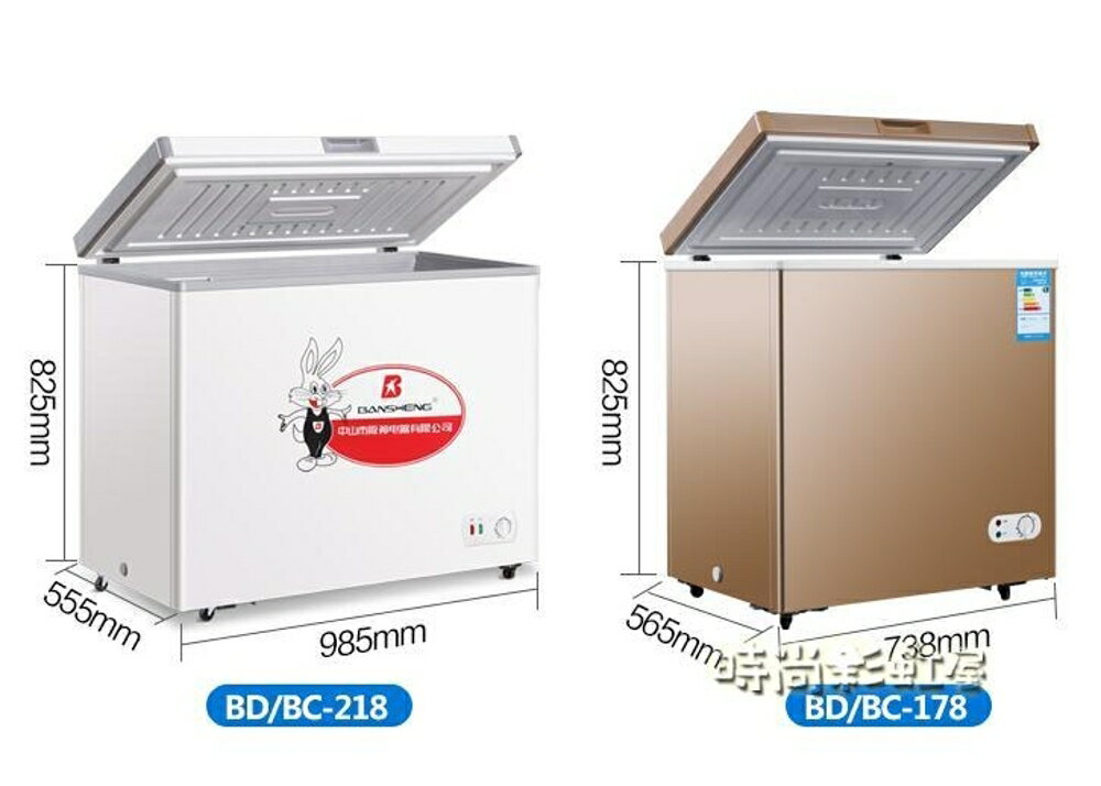 急凍冰櫃家用小型節能全冷凍保鮮櫃冷藏雙門溫用商用立臥式大容量 220V MBS「時尚彩虹屋」