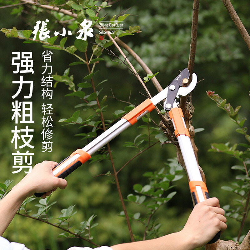 張小泉樹枝剪刀強力粗枝剪果樹園藝園林大力剪修剪樹枝省力剪刀