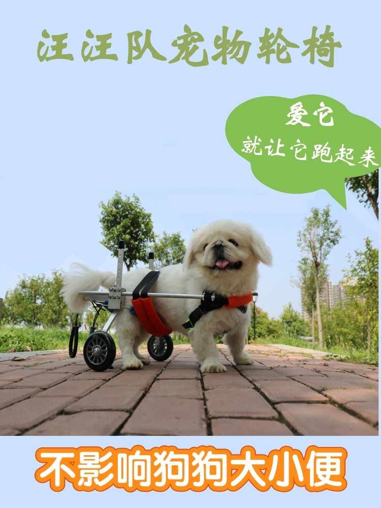 狗輪椅寵物癱瘓支架狗后肢殘疾代步車小型犬殘疾車脊椎輔助車泰迪 文藝男女