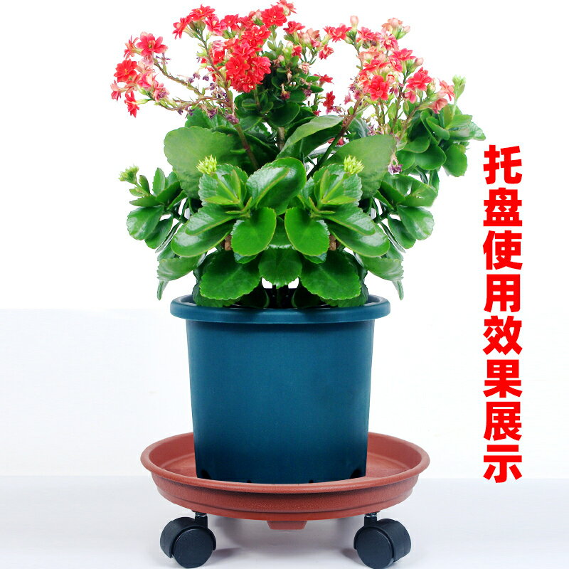 【滿299出貨】加厚移動花盆託盤帶滑輪花盆底座塑膠花盆接水託盤萬向輪花盆底盤