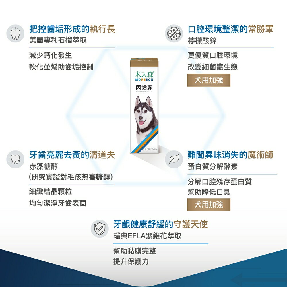 ＵＴＯ｜ 木入森 犬寶固齒麗 專業獸醫推薦 5
