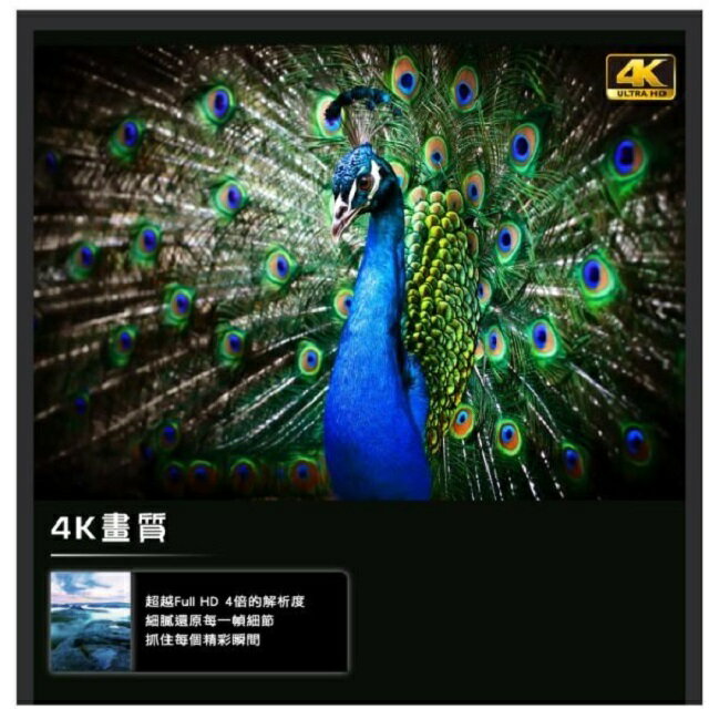 HERAN 禾聯HD-55MF1  55吋4K 液晶電視 (含運無安裝無視訊盒)~~限高雄市區 1