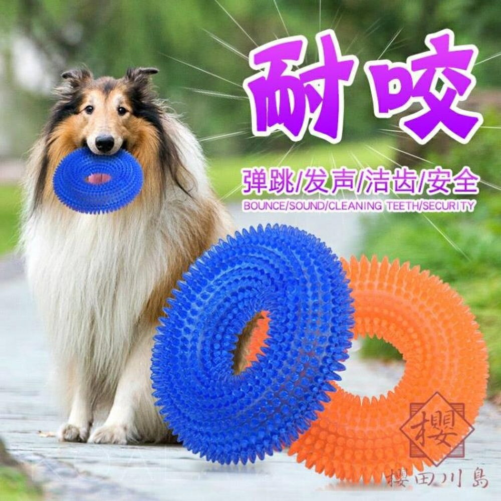 寵物玩具大狗磨牙玩具橡膠球發聲玩具球耐咬【櫻田川島】