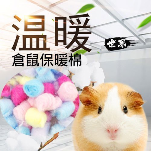 《story》鼠用保暖棉花/五色綿花球(40g x3包)/寵物鼠/保暖