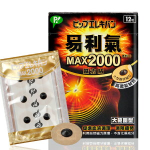 日本製 公司貨 易利氣2000磁力貼(12粒)