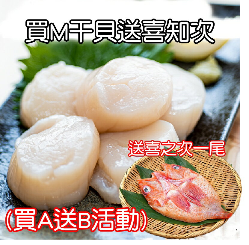 日本北海道 生食級干貝M