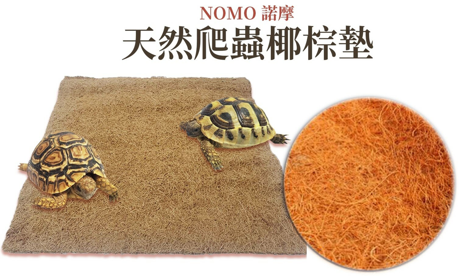 諾摩 NOMO 椰棕墊 爬蟲椰棕墊 墊材 底材 爬缸 飼養盒 造景地墊( 5種規格)