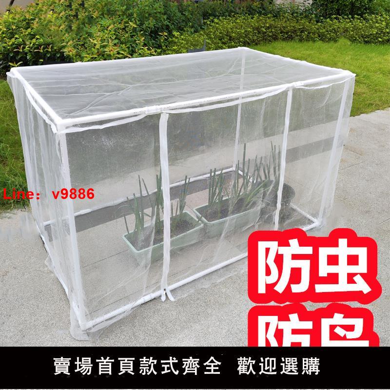 【臺灣公司 可開發票】植物保護罩大號防貓藍莓防蟲網罩多肉花卉盆栽草莓種菜防鳥罩菜園