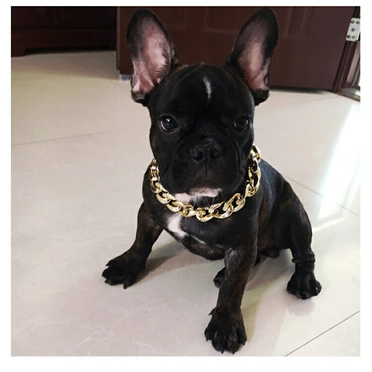 法鬥項鍊 狗狗項鍊 寵物項鍊 惡霸項鍊 比特項鍊 8