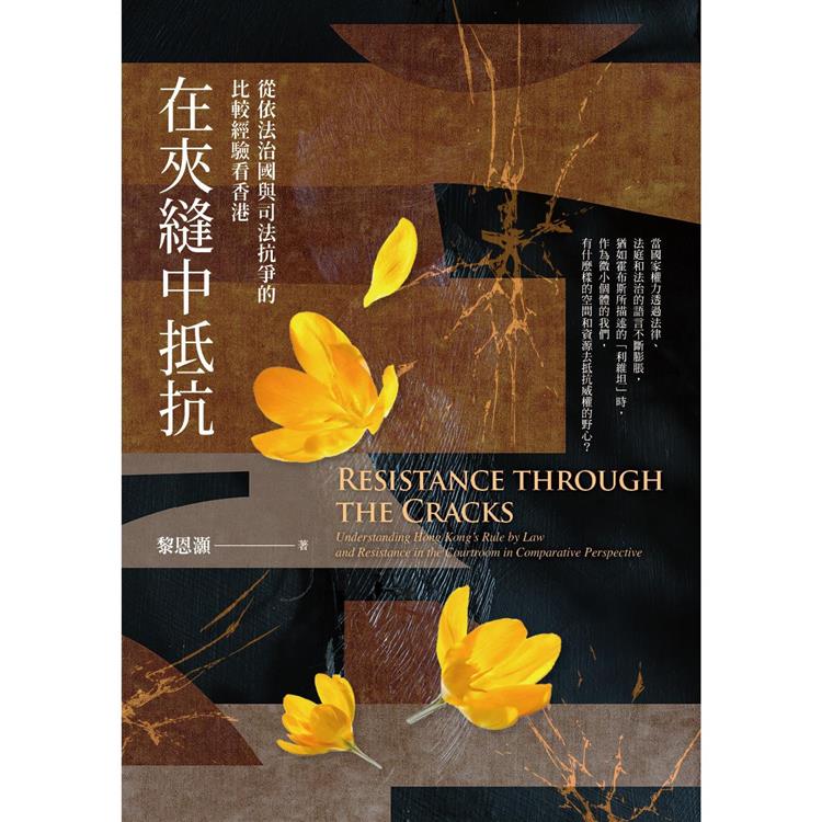 在夾縫中抵抗：從依法治國與司法抗爭的比較經驗看香港