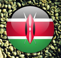 肯亞AA TOP 多門 姆恰娜 SL28 佔74.1% 水洗 咖啡生豆 1公斤裝-【良鎂咖啡精品館】