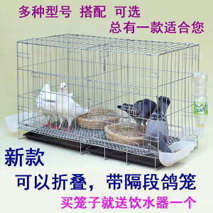 鴿子籠養殖籠大室外鸚鵡活鳥大型籠子大空間加粗鴿子用品白鴿用具