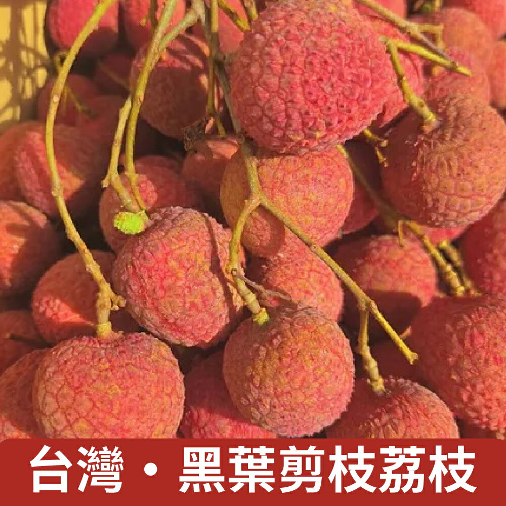 【仙菓園】台灣在地 阿罩霧黑葉剪枝荔枝 三斤剪枝含盒重約1800g±10%