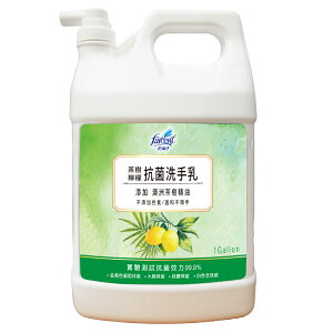 【史代新文具】花仙子 JJ2282YXF 茶樹檸檬 洗手乳 1加侖 (4桶/箱)