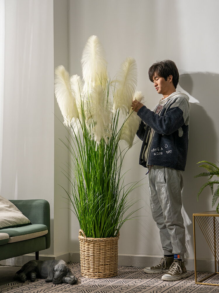 高檔2021新款模擬蘆葦草假花樹假樹室內客廳落地綠植植物裝飾擺件 小山好物嚴選