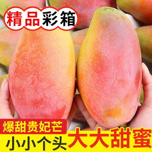 【彩箱】海南貴妃芒5斤芒果新鮮當季熱帶水果紅金龍辣椒芒甜心芒