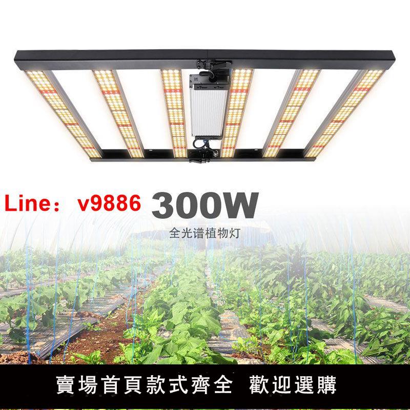 【臺灣公司 超低價】LED光譜植物燈300W可調光適合育苗多肉室內家用大棚種綠植大功率