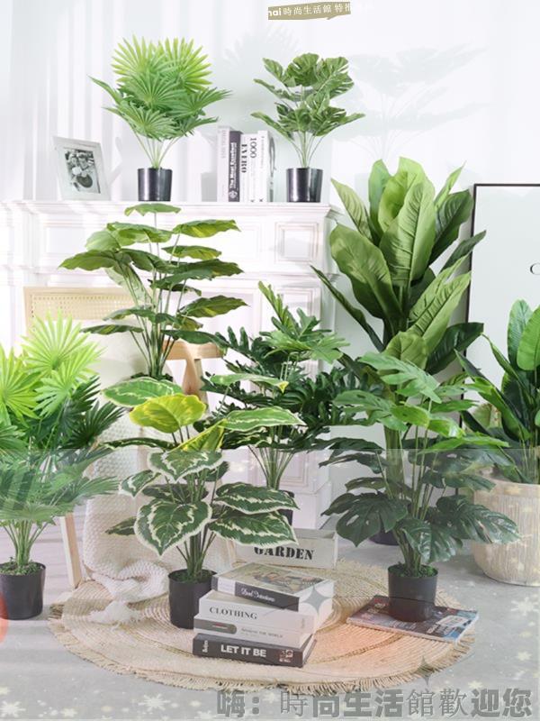 免運 可開發票 仿生綠植小型龜背竹散尾葵小號綠葉假植物盆栽桌面上造景裝飾擺件