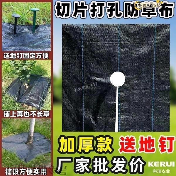 ∮防草布 切片除草布 裁片單張打孔果園加厚 抗老化 透氣 透水 PE防草地布