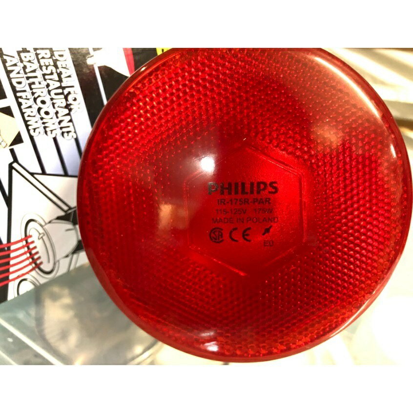 PHILIPS par38 ir red 175w 250W 紅外線溫熱燈泡 寵物保溫 中醫診所用 110V 220V 4