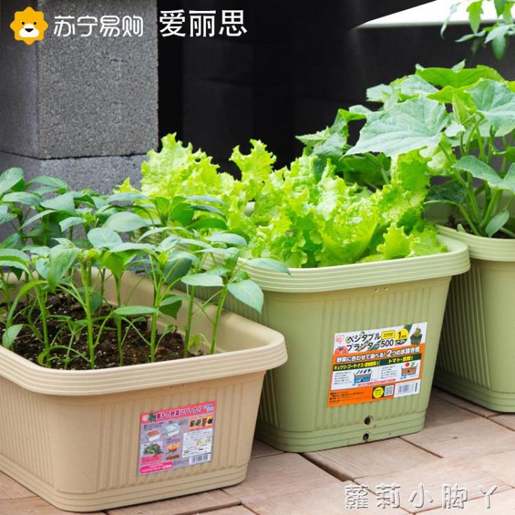 愛麗思花盆長方形塑料大號家庭陽臺種菜蔬菜種植盆家用神器愛麗絲