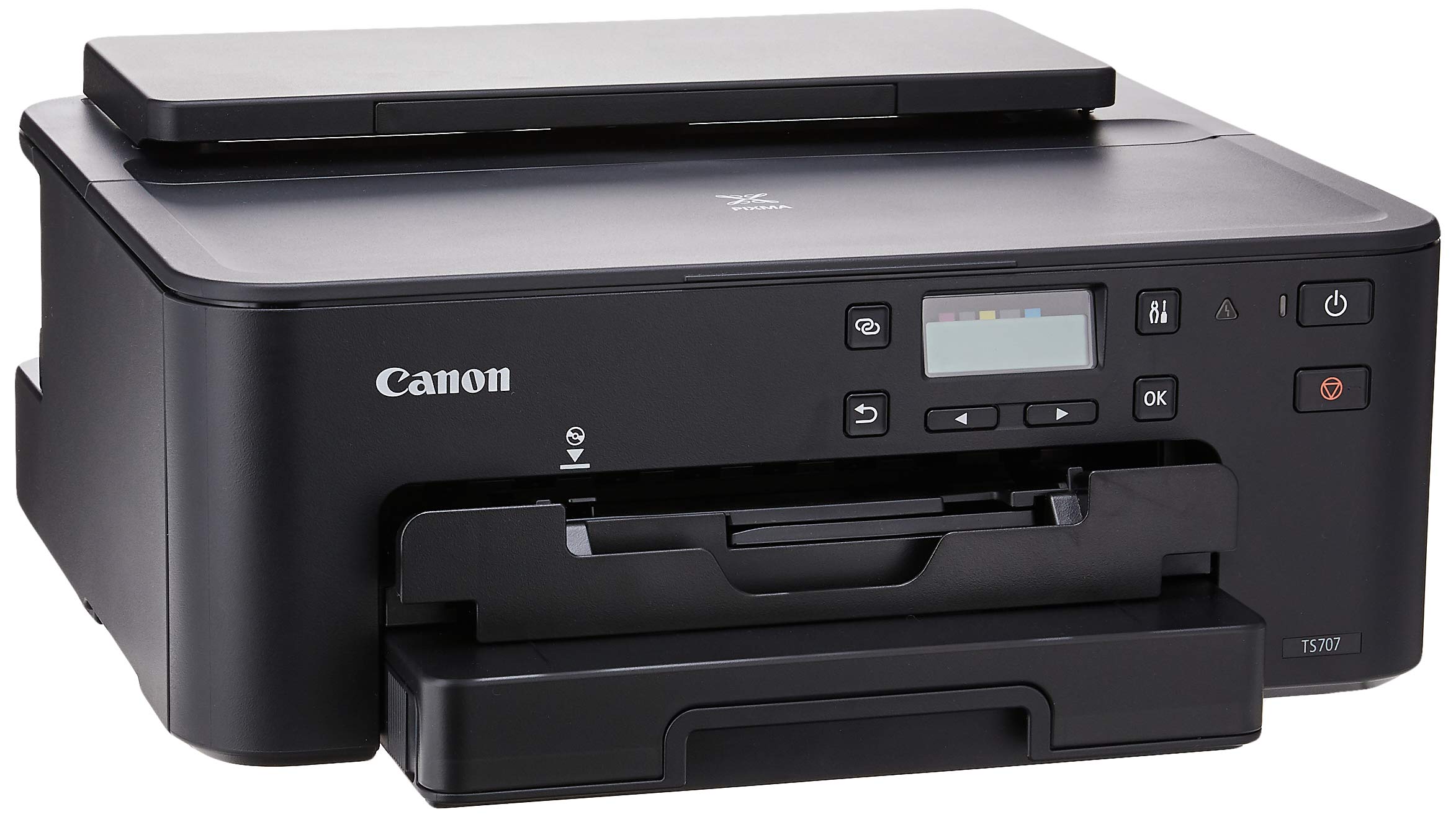 【跨店享22%點數回饋+滿萬加碼抽獎】【預購】CANON PIXMA TS707 噴墨相片印表機