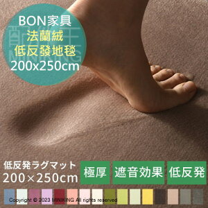 日本代購 空運 BON家具 法蘭絨 地毯 200x250cm 防滑 地墊 低反發 絨毛 柔軟 加厚 吸音 消音 客廳臥室