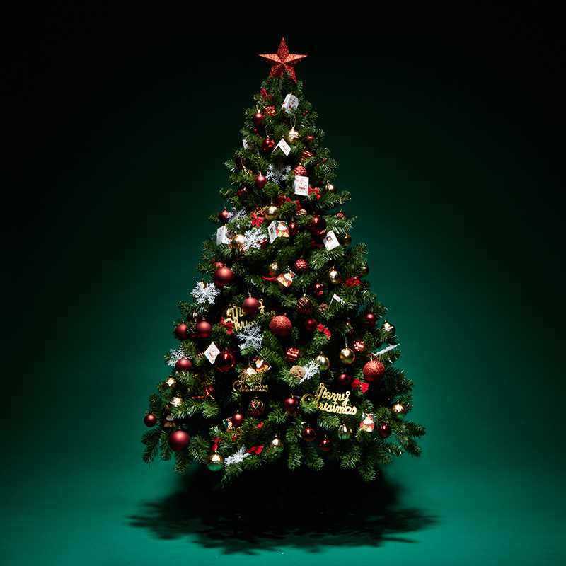 聖誕樹加密家用1.2/1.5/1.8米套餐DIY聖誕節裝飾品聖誕樹發光 1