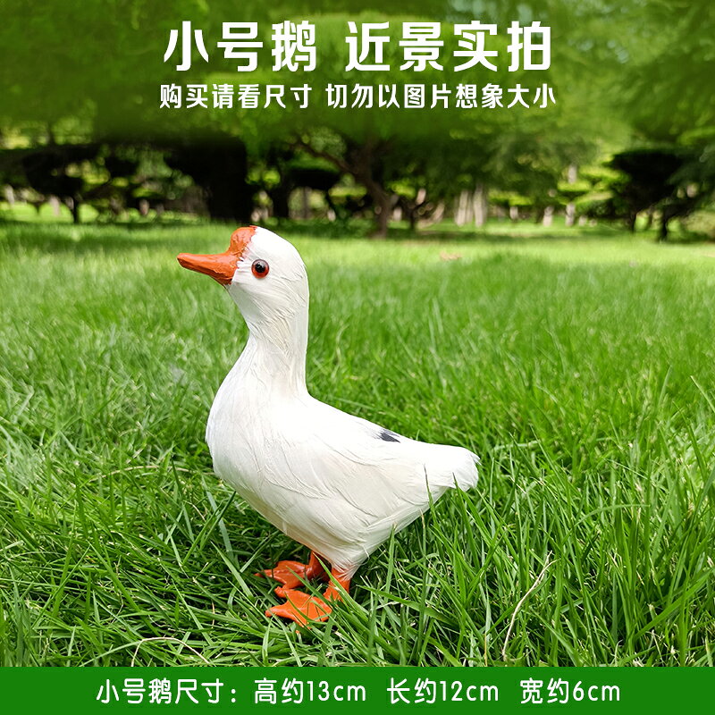 仿真鵝模型動物標本大白鵝室內園林裝飾品鵝擺件攝影拍照道具鴨子 8