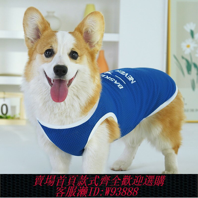 {臺灣公司貨 可打統編}網紅寵物狗狗衣服夏季薄款柯基中小型犬用品防掉毛防曬衣法鬥背心